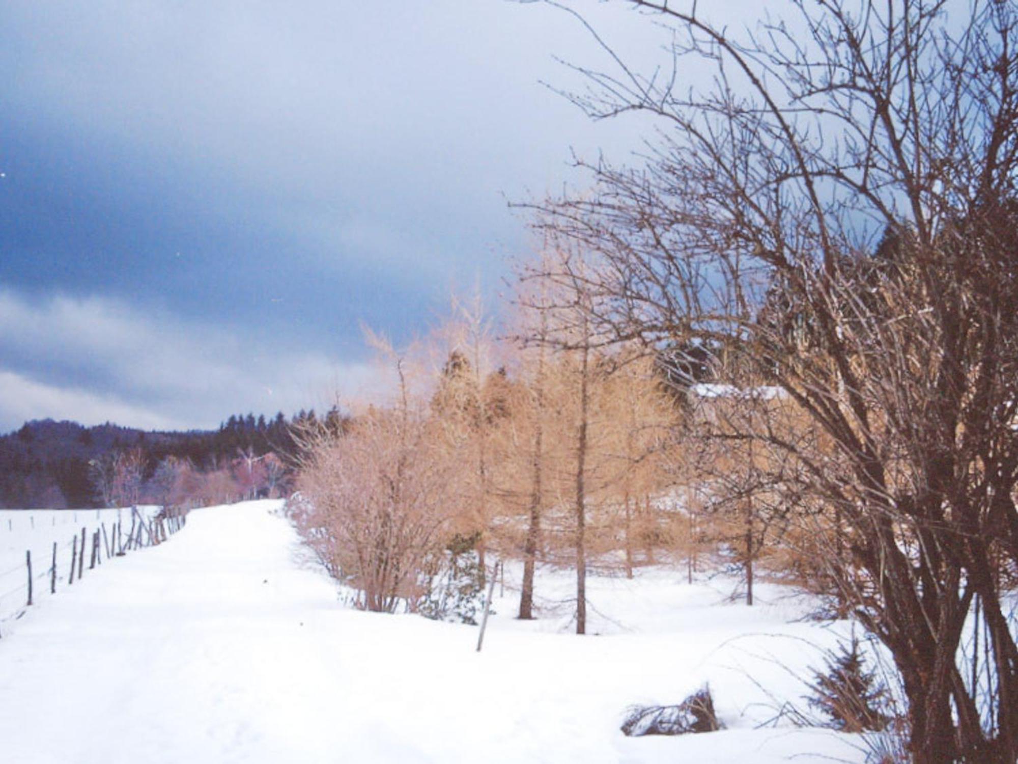 Saint-Jean-Soleymieux Charmant Gite Avec Terrasse, Cheminee Et Jardin, A Proximite Des Bois, Animaux Acceptes - Fr-1-496-205 מראה חיצוני תמונה