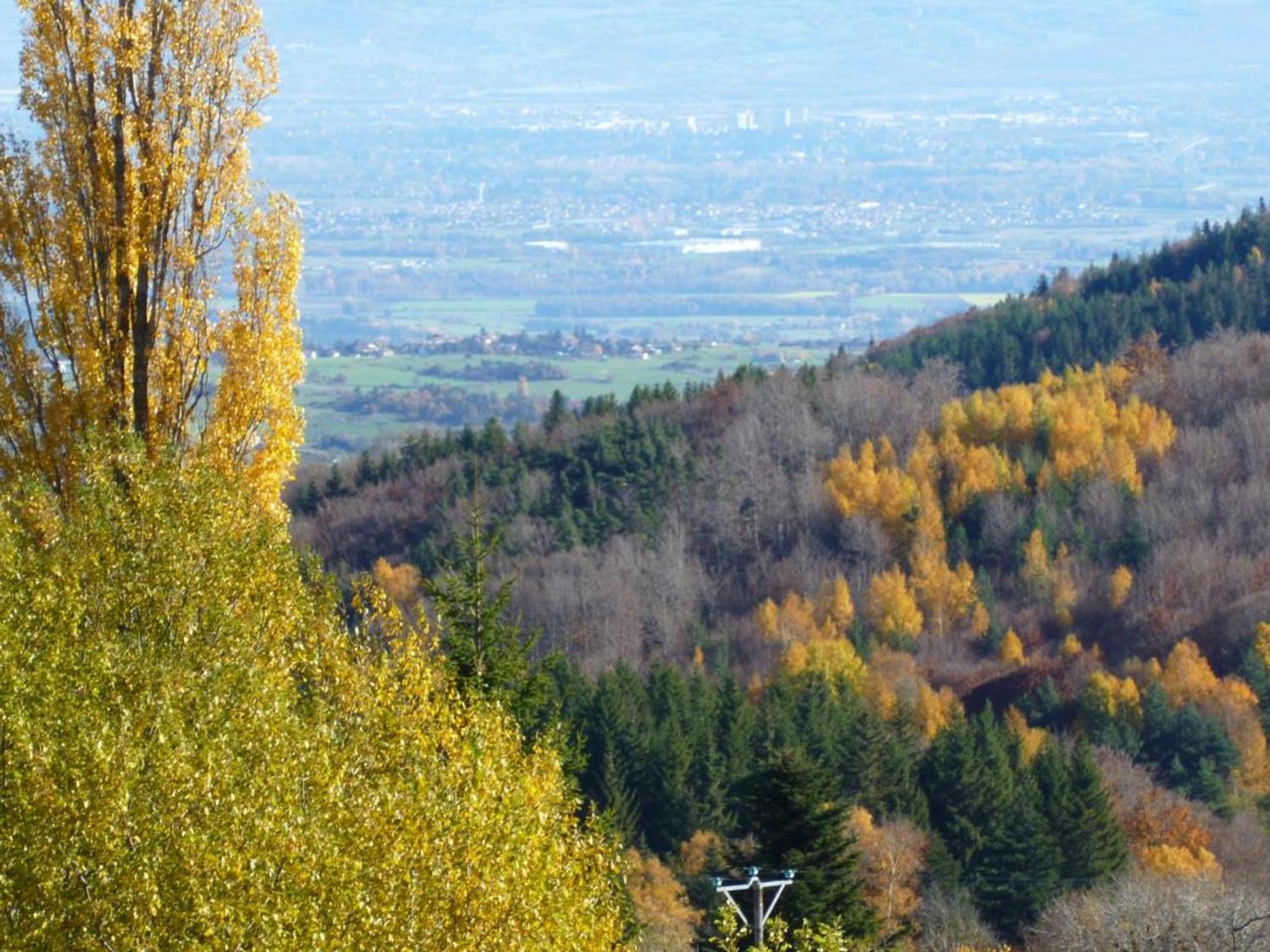 Saint-Jean-Soleymieux Charmant Gite Avec Terrasse, Cheminee Et Jardin, A Proximite Des Bois, Animaux Acceptes - Fr-1-496-205 מראה חיצוני תמונה